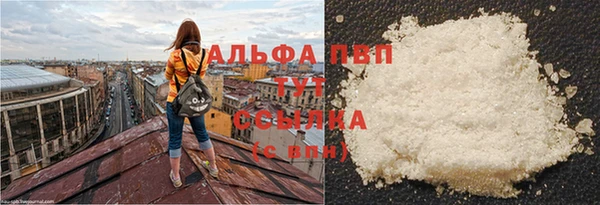 a pvp Алзамай