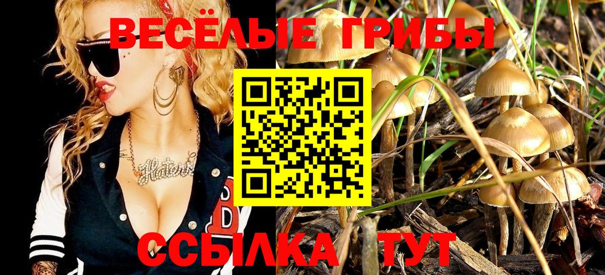 Новоуральск  Псилоцибиновые грибы GOLDEN TEACHER  Вход с VPN 
